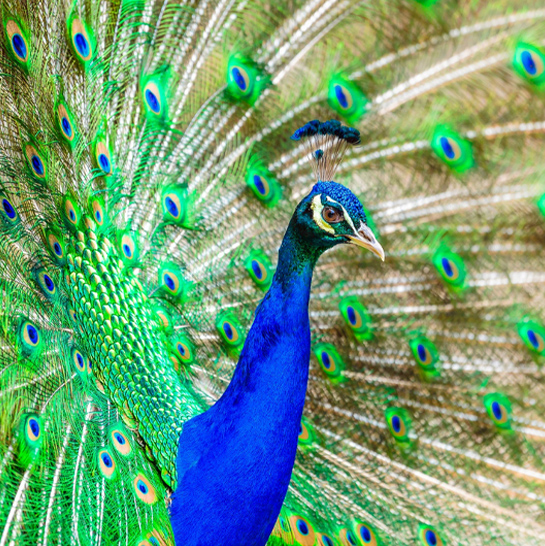 website banners - 4